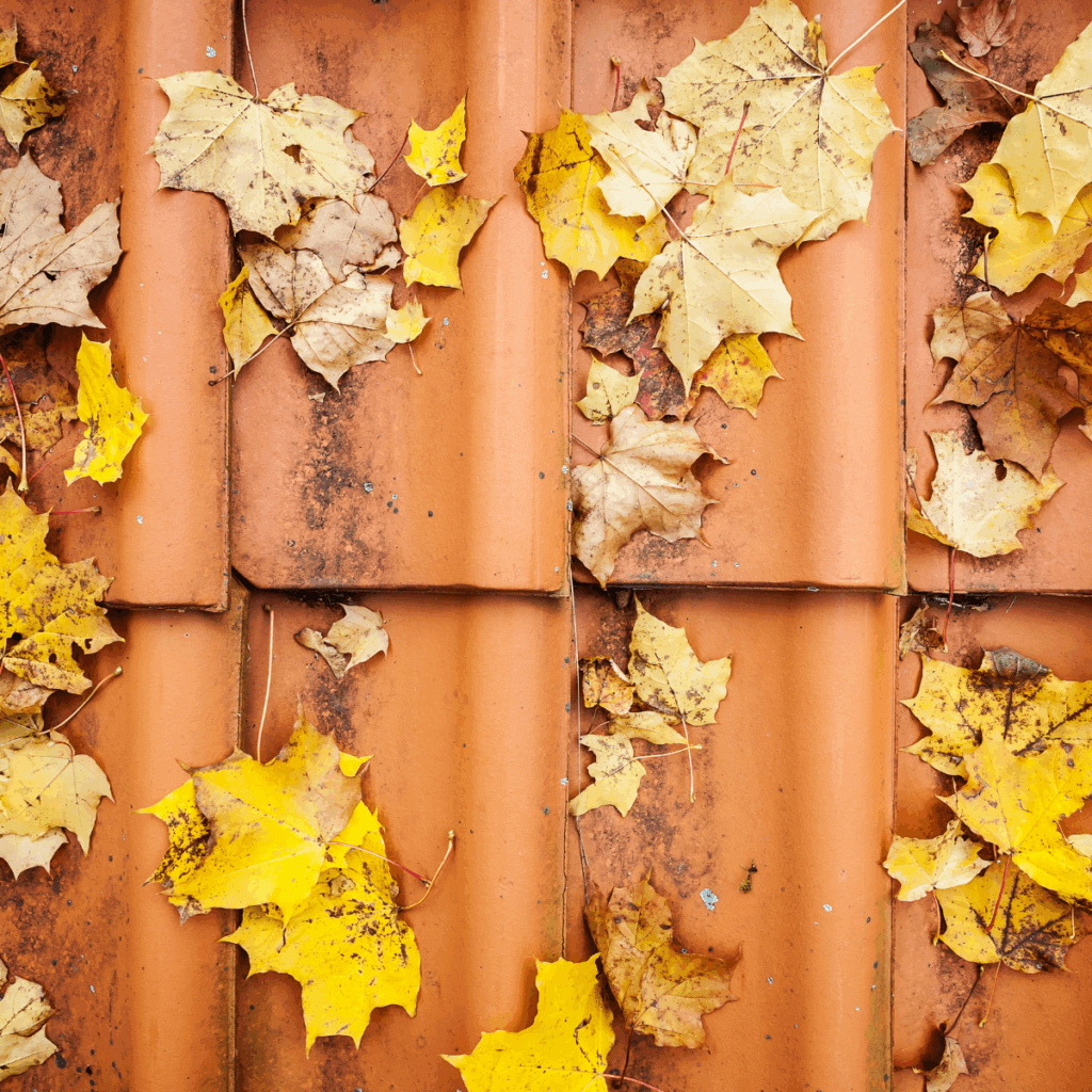 How to Maintain a Tile Roof in Texas – Safe Debris Removal