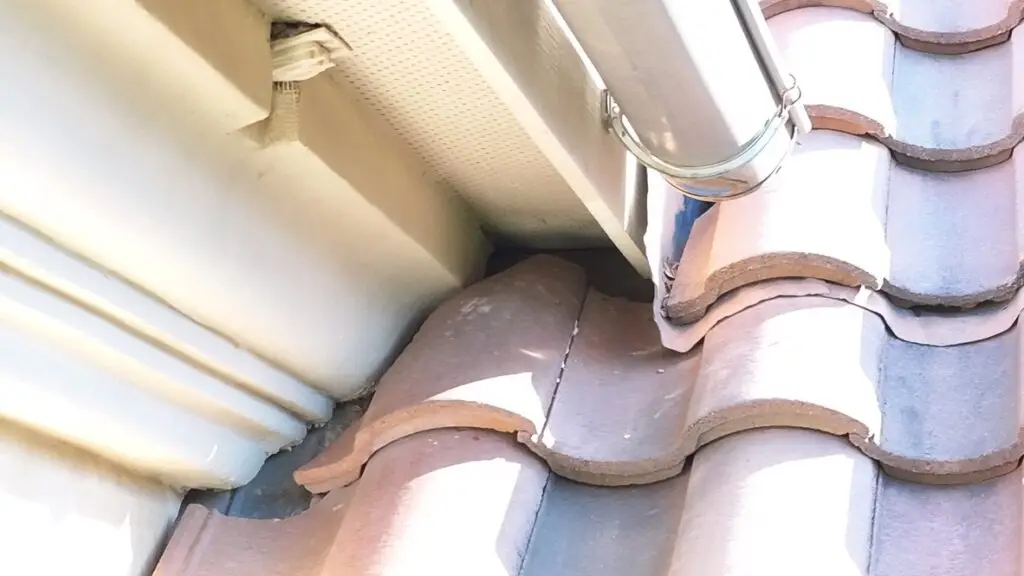 Squirrel access gap near tile roof soffit in Dallas, TX