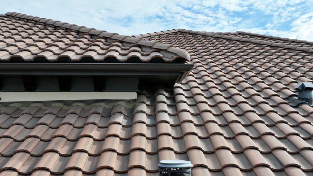 Squirrel accessing tile roof from nearby tree in Fort Worth, TX