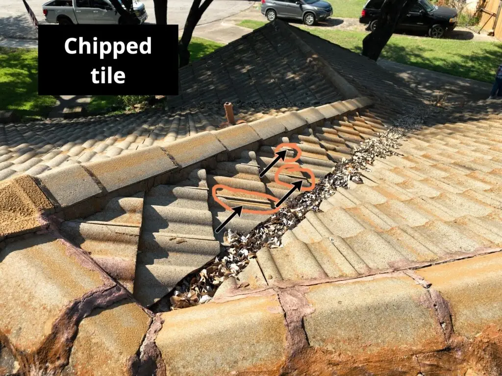 tile roof restoration chipped tiles in duncanville tx